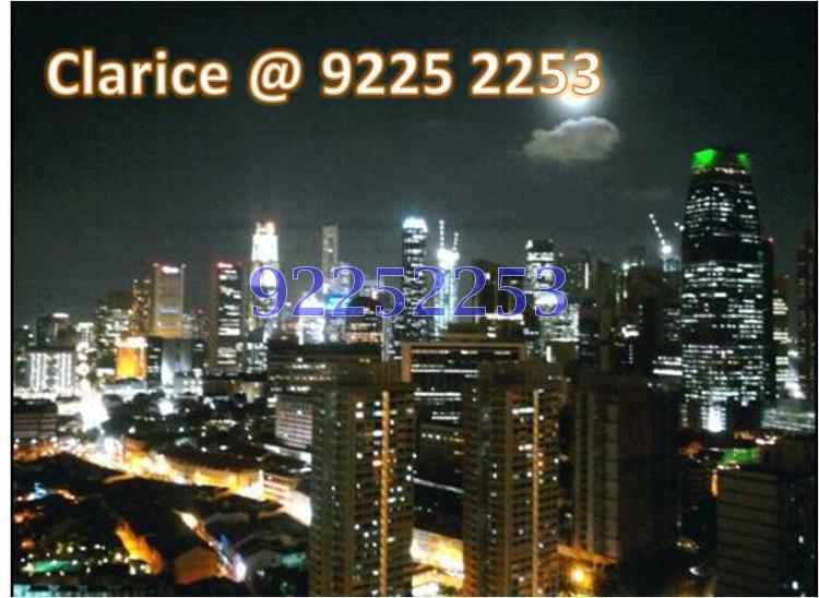 Blk 1F The Pinnacle@Duxton (Bukit Merah), HDB 5 Rooms #100762772